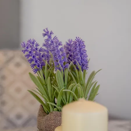 2k Cozy House * Neo Epivates