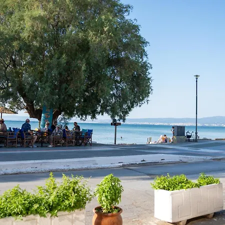 2k Cozy House Apartament Neo Epivates