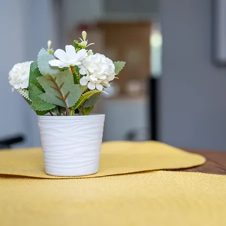 Appartamento 2k Cozy House *