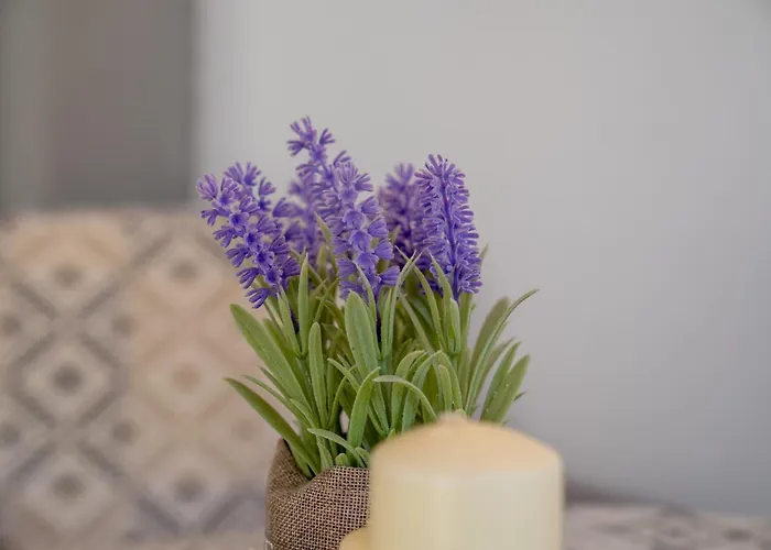 2k Cozy House * Neo Epivates